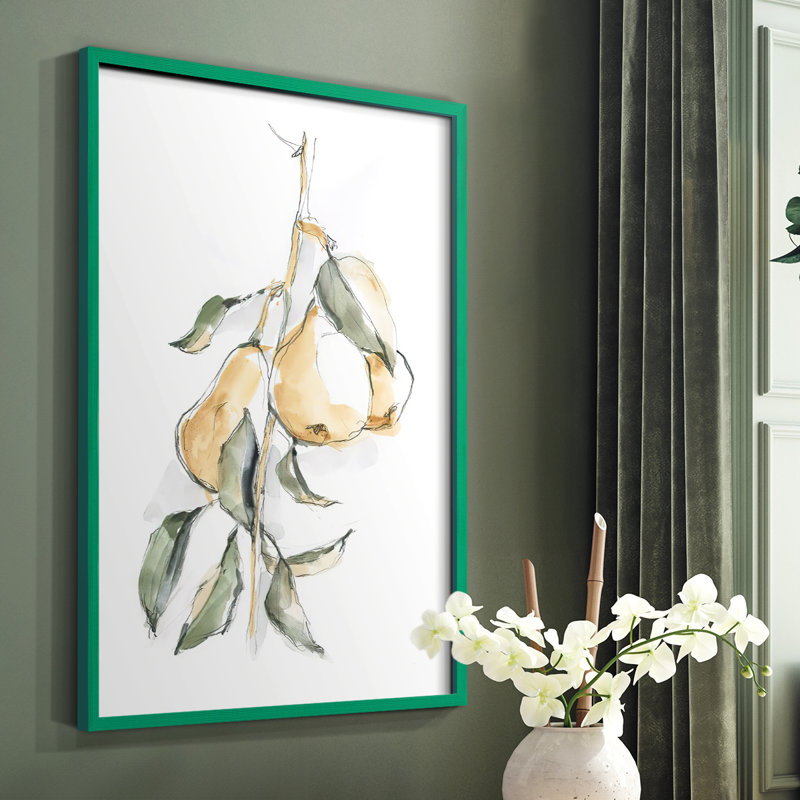 «Watercolor Fruit Contour I», reproduction encadrée - bois massif, Vert, H 10 po x l 8 po