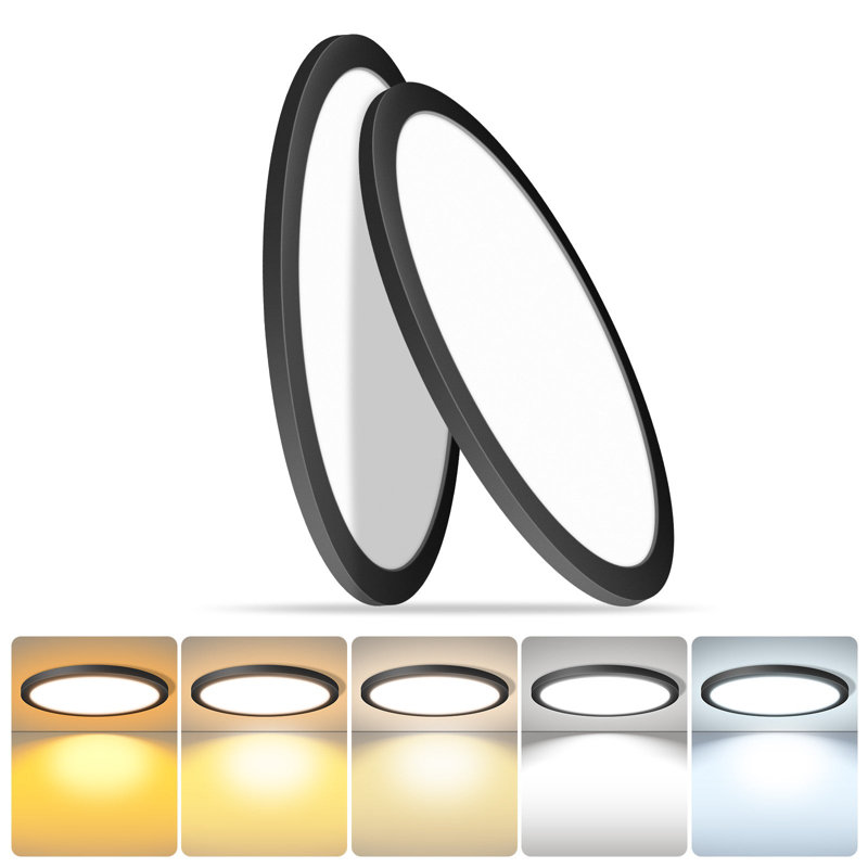 2pk 16 Inch Round Black Ceiling Light,30W 120V 5CCT Dimmable Slim LED Ceiling Light, Close to Ceiling Light Fixtures for Bedroom, Kitchen, Hallway, Laundry