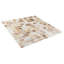 Carrelage mural coquillage 0,71 "x 0,71" Conchella