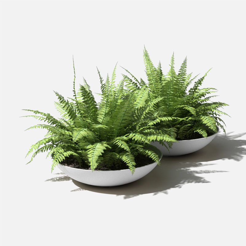 Pot à fleurs Pure Series Lane, H 8 po x l 32 po x P 32 po, Blanc, Ensemble de 2