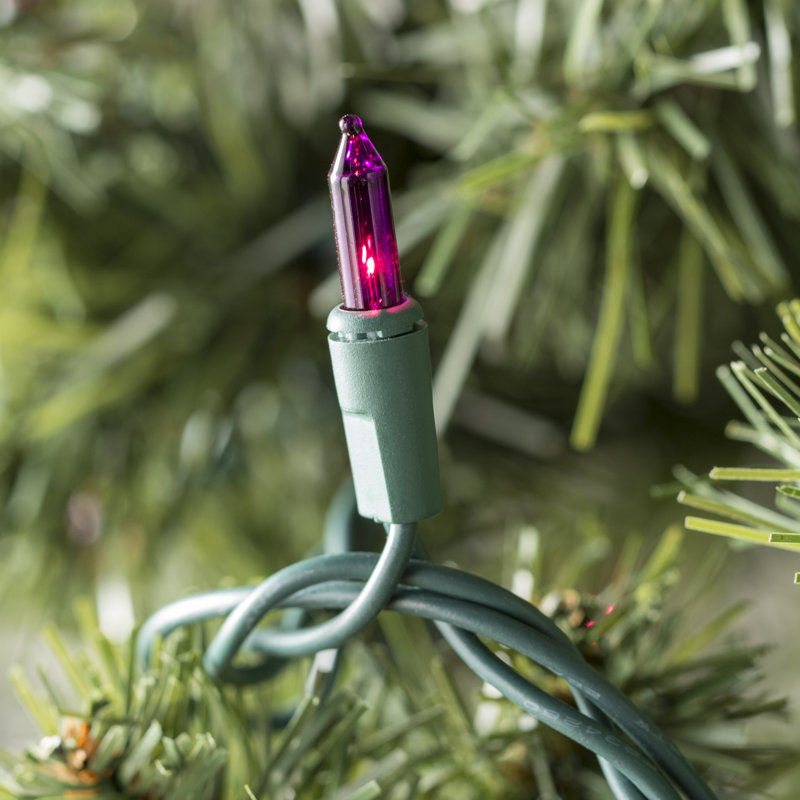 50.5' 100-Light String Lights, Purple