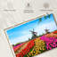 Harnek Windmills Beyond Tulips-108155616