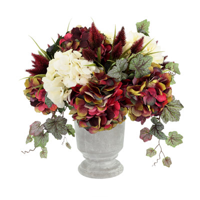 Lilbourn chardon, hortensia et lierre en pot de pierre