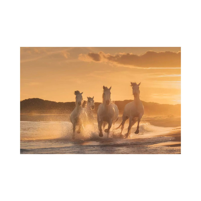 White Angels Of Camargue XXXIX by Daniel Kordan - Wrapped Canvas Print, 20.32cm H x 20.32cm W