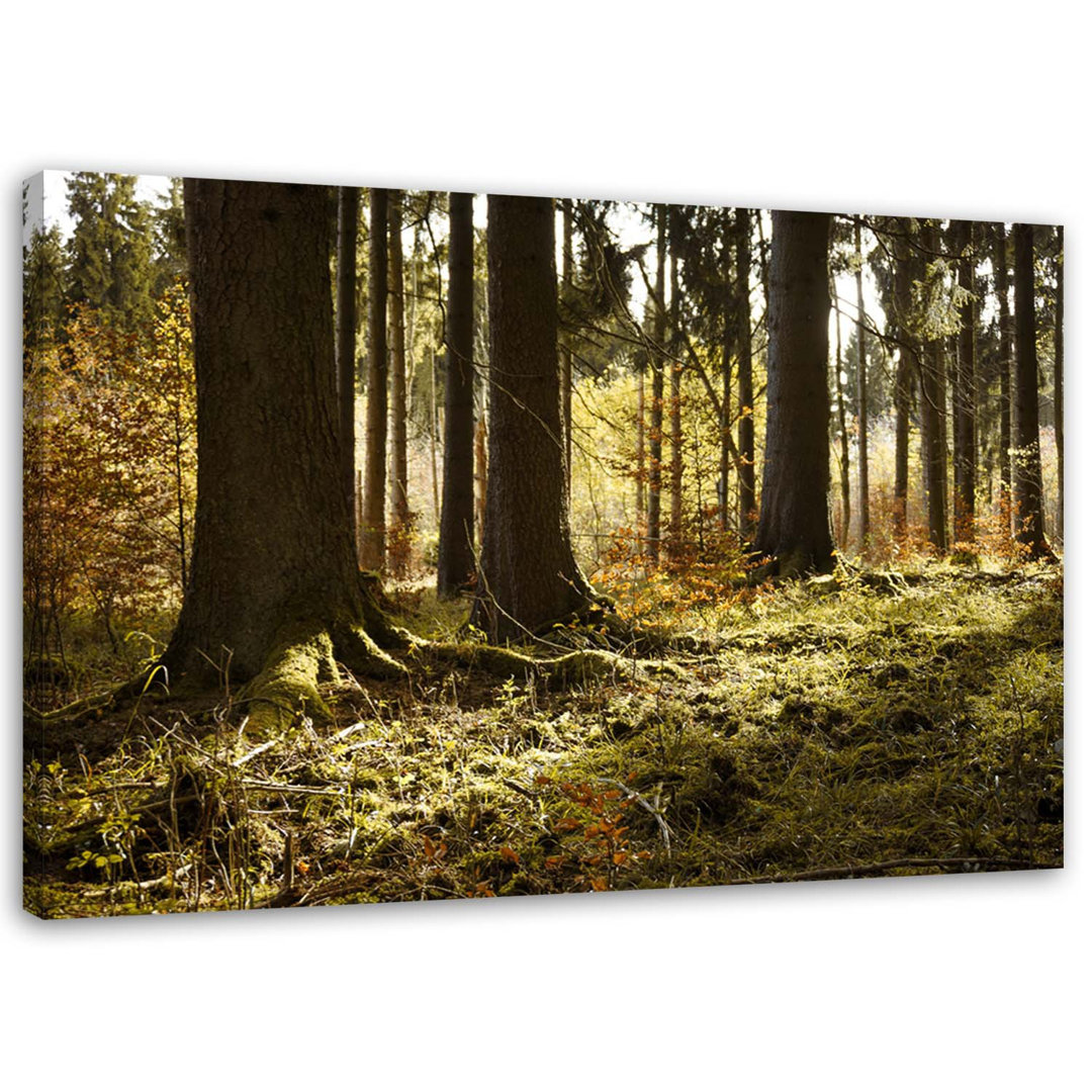 Leinwandbild Im Wald