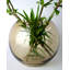 Dahntay Handmade Glass Table Vase-1805221705