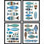 Coastal Charm-97782434-97782437