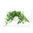 Ivy Bunches in a Ceramic Vase