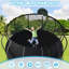 Trampoline Novel Style