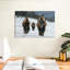 Photographie d'un bison de Brampt à Yellowstone-107686997