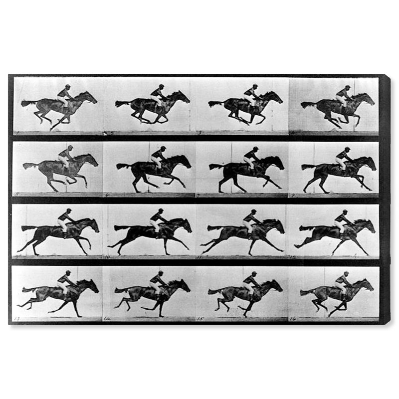 «Horse in Motion II», impression sur toile, H 30 po x l 45 po x P 1,5 po