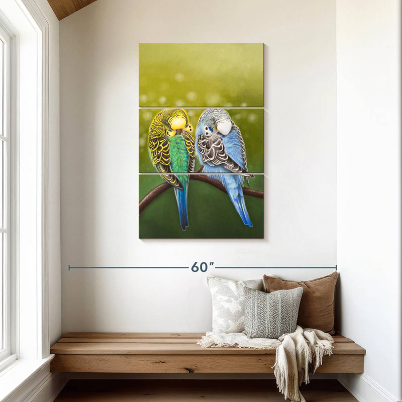 Brampt Budgie Siesta, H 45 po x l 28 po