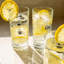 LAV - Brit Highball Glasses