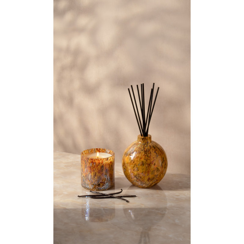 Star Jasmine Reed Diffuser, Brown, Woodsy