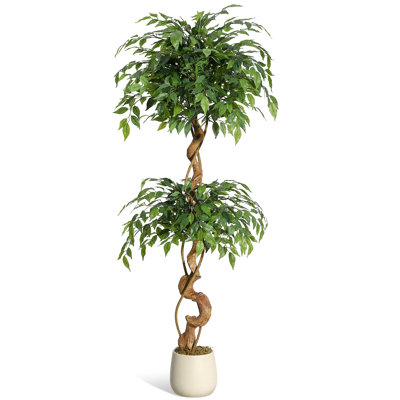 Faux Plant