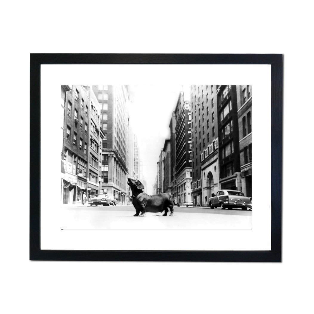 Single Picture Frame Print