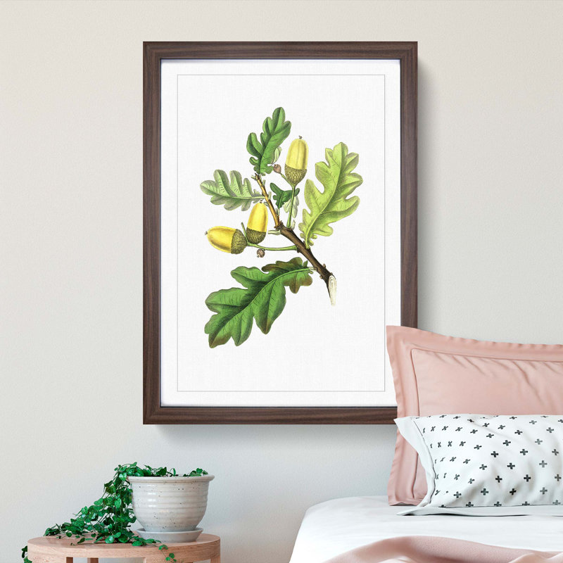 English Oak Tree Illustration - Picture Frame Painting Print, 36cm H x 27cm W x 2cm D, Walnut Framed