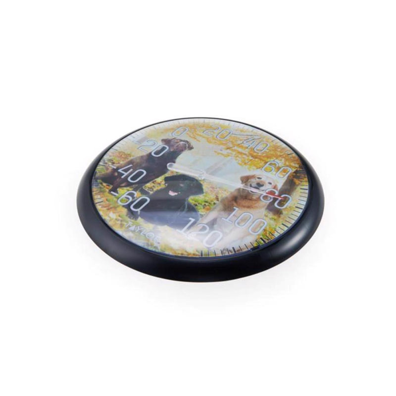 Thermomètre à cadran 13,25 po Labrador