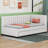 Upholstered Twin Size Daybed with Trundle-94909574