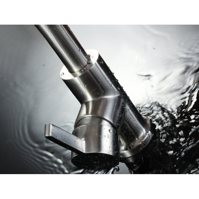 RAEN Marigold Pull Out Kitchen Faucet