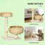 Arbre d'activité pour chat crème à fleurs élégantes, condo pour chat en panneau de particules robuste avec lits surélevés épais, centre de jeu décoratif pour animaux de compagnie pour petits chats