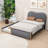 Jankell Wood Upholstered Platform Bed with Trundle-943052848-943052855