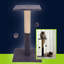Leola 62cm H Cat Tree