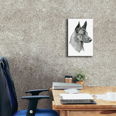 'Feral Gaze' by Darlene Pavlovich Canvas Wall Art