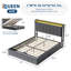 Structure de grand lit avec rangement relevable, lit en velours rembourré avec lumières DEL et prises de courant, support hydraulique, aucun sommier nécessaire, gris-2038926720-2038926722