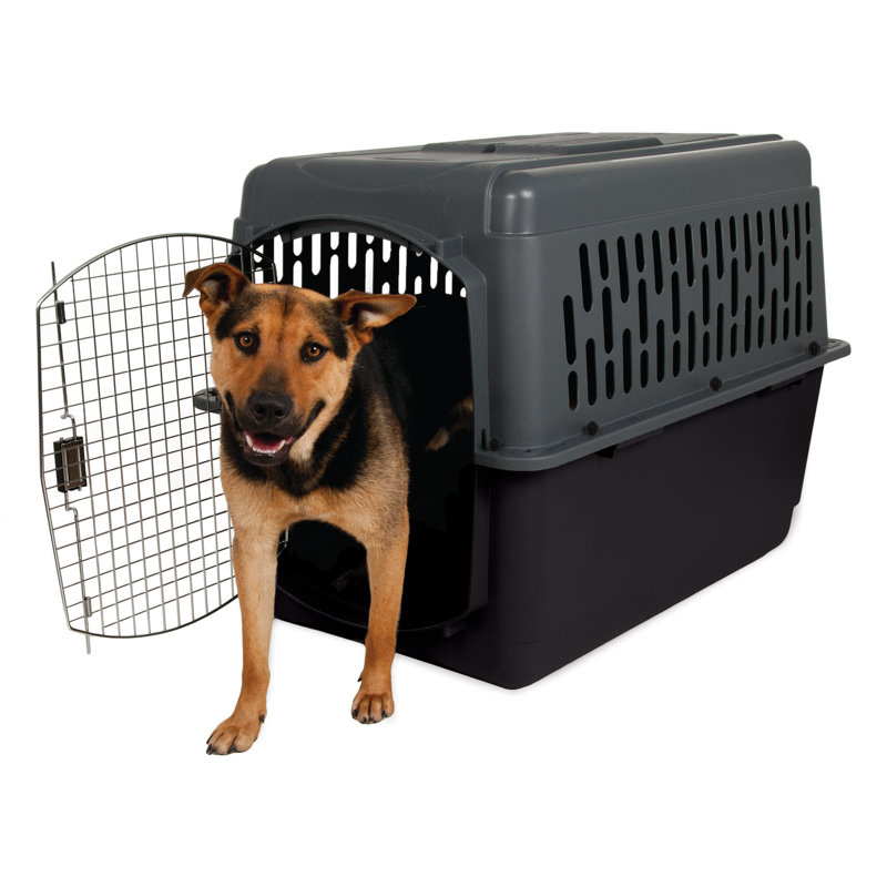Donnie Plastic Pet Carrier with 1 Door, Large (30" H x 27" W x 40" D)