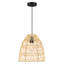 Luminaire suspendu 13 po Ylve