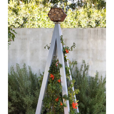 Otani Steel Obelisk Trellis