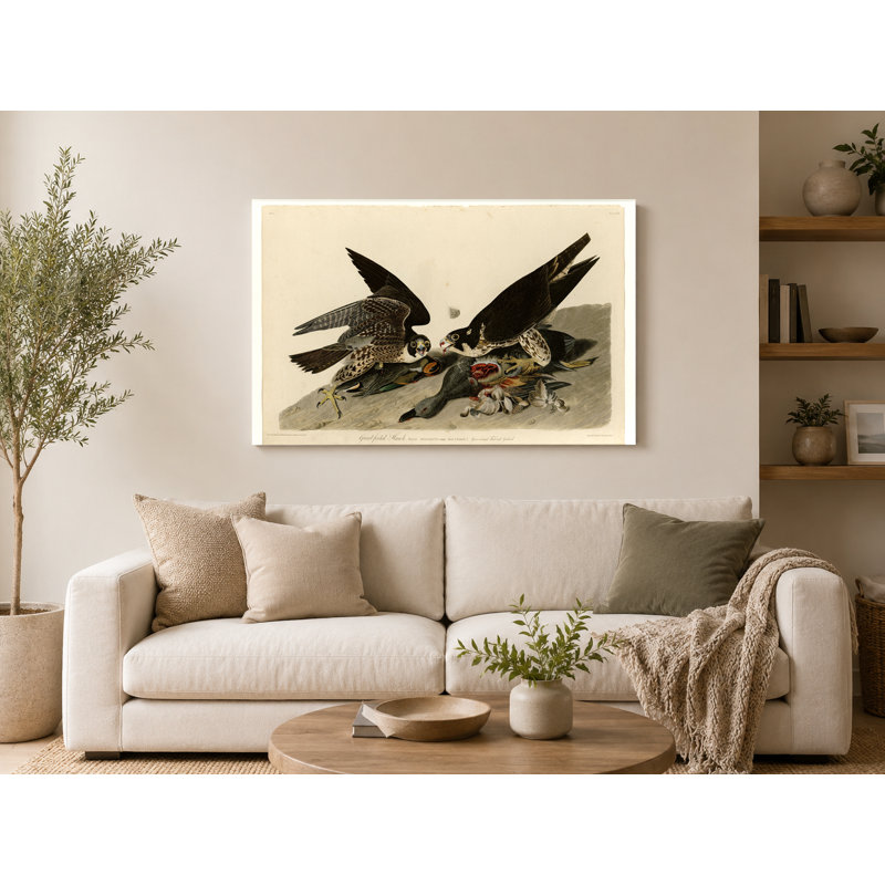 Grand-faucon (planche 16) - art mural sur toile paysage, 20" W x 16" H