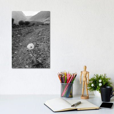 Monochrome Yosemite Bloom by Bethany Young - Print on Canvas