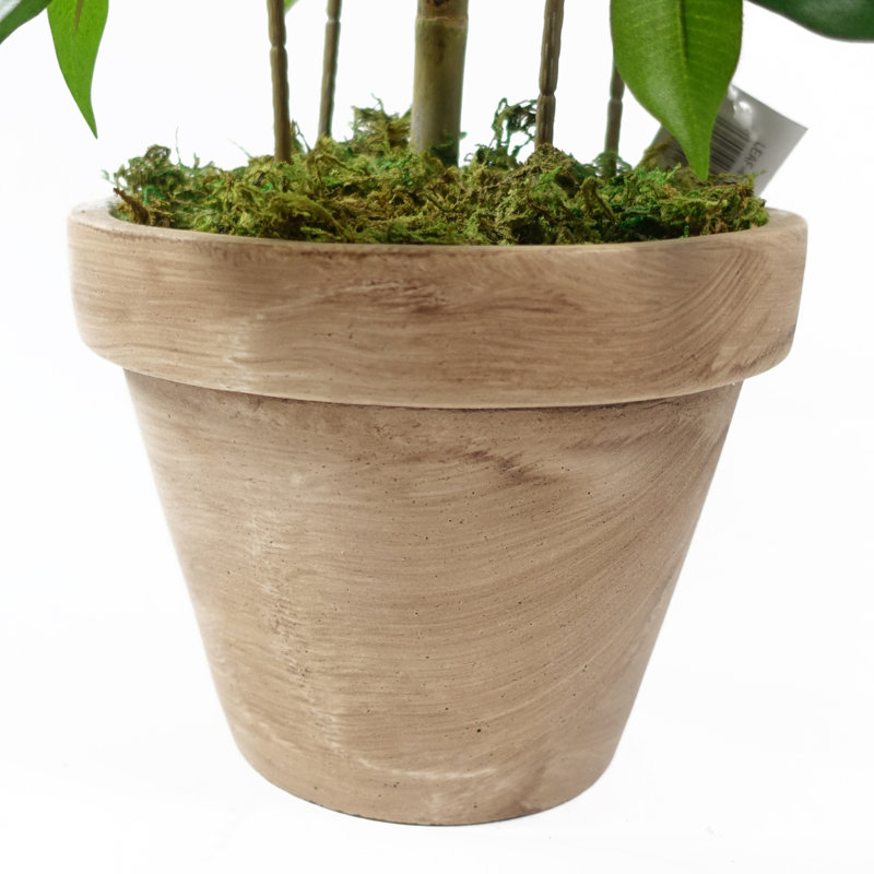 Anjeli 60cm Faux Foliage Plant in Pot
