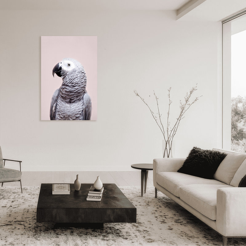 Nature Inspired African Gray by  - Picture Frame Photograph on Paper, 48" H x 32" W x 1.5" D, Wrapped Canvas, Does Not Apply