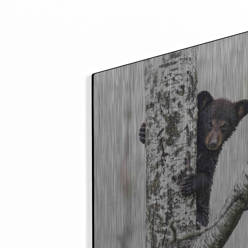 «Bears At Play V» par PH Burchett, H 24 po x l 16 po