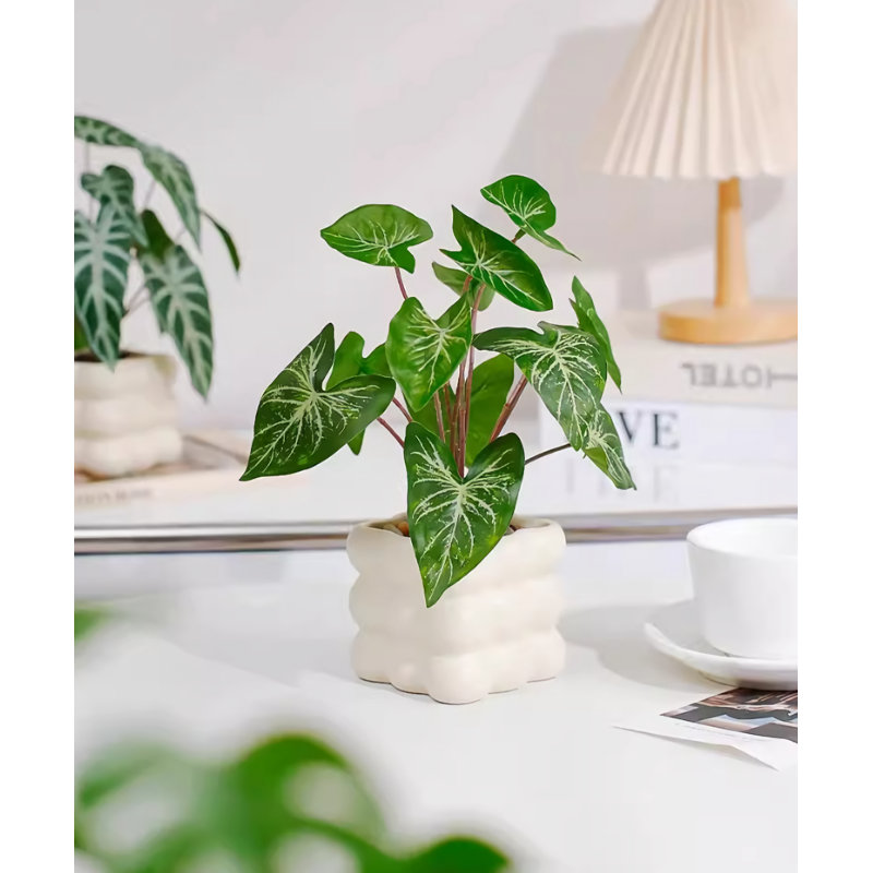 9,45 plante