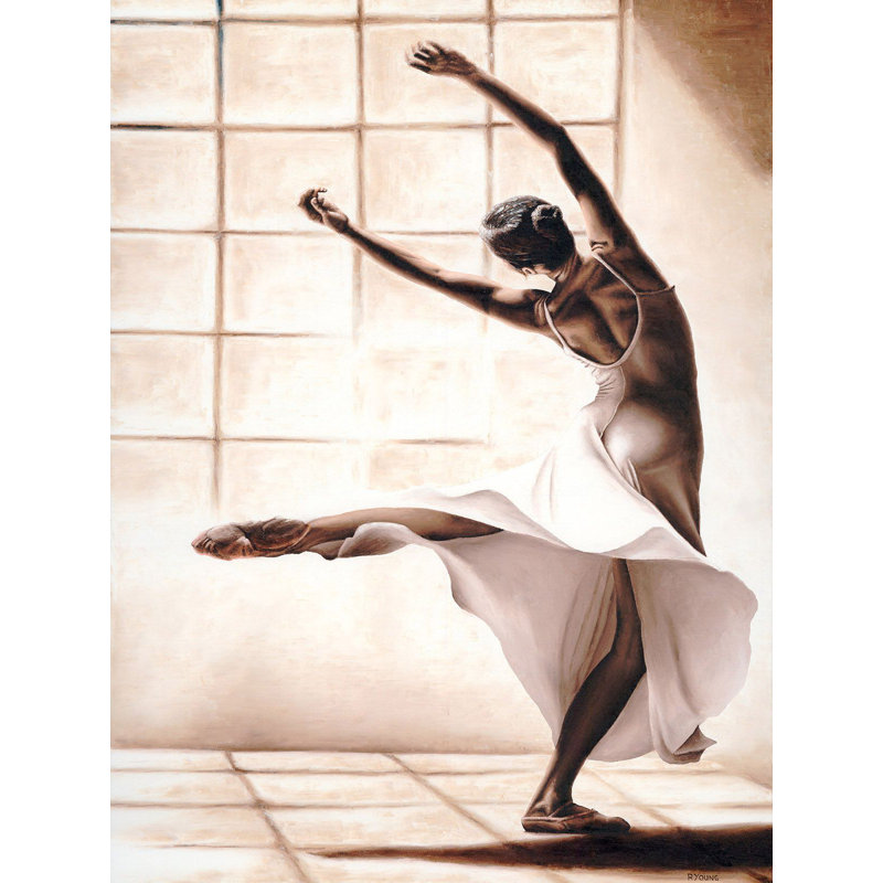 Dance Finesse by Richard Young - Wrapped Canvas Painting, 80cm H x 60cm W x 4cm D