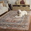 Tapis oriental Bijar Performance-376196119