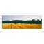 Champ de blé - Reproduction d'art sur toile sans cadre