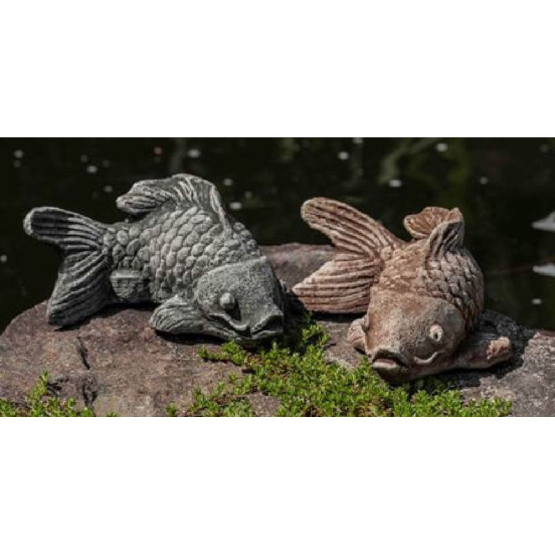 Coy Koi Statue, Graystone