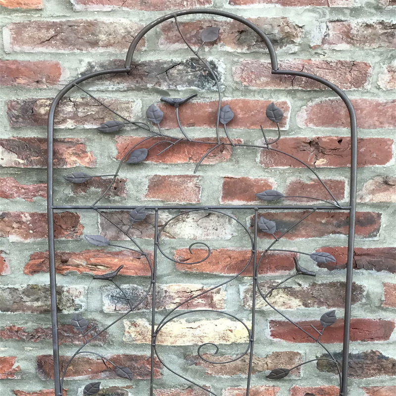 200cm H x 50cm W Metal Arched