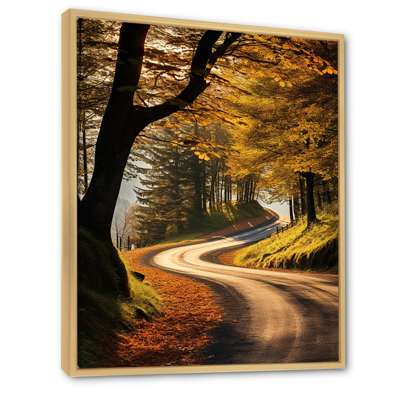 Chemin d'automne dans la forêt II, Cadre flottant brun, 44" H x 34" W