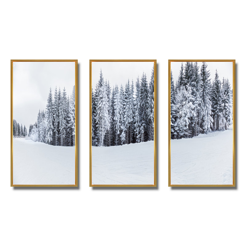«Black and White Snow Capped Hills», photographie sur toile flottante 3 pièces, H 20 po x l 36 po x P 1 po, Cadre doré