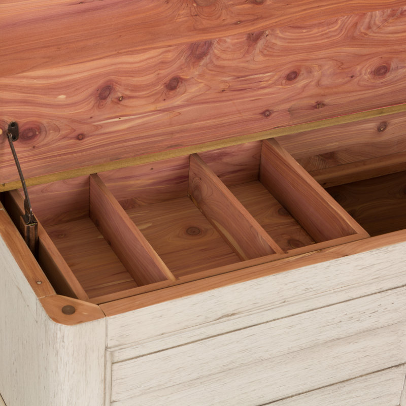 Harlowe Storage Trunk