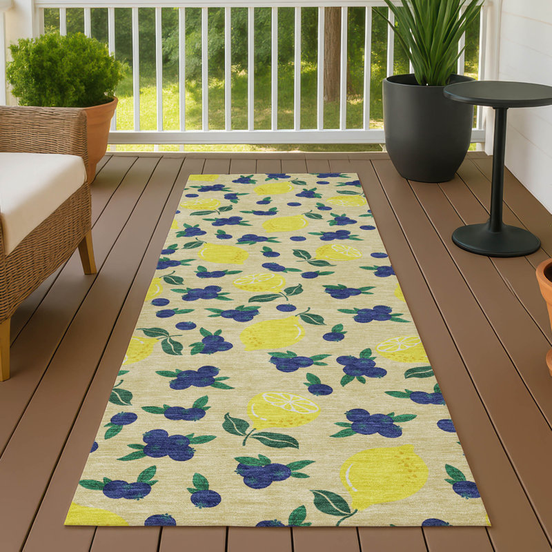 Tapis intérieur / extérieur lavable à la machine Bourkelands ACN2354, Tapis de couloir 2 pi 3 po x 7 pi 6 po
