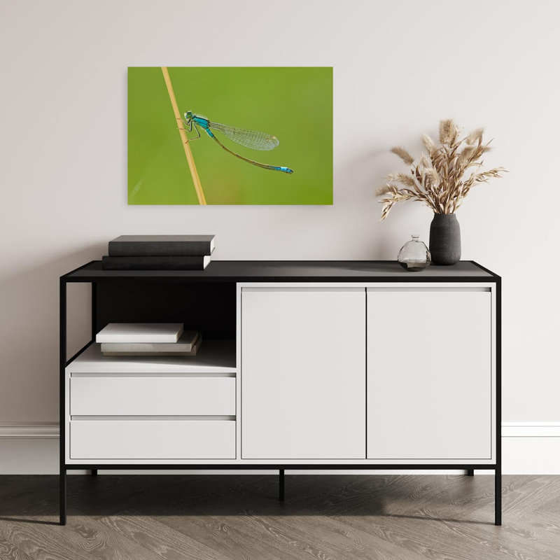 Blue Damselfly On Green Delicate Serene Vibrant Animal Nature Wall Art Print by Stuart Williams - Print