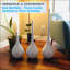 Humidificateur et purificateur à double usage avec un recharge