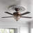 Richmon 52'' Ceiling Fan with Light Kit
